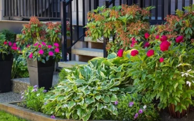 How to Do Front Yard Landscaping