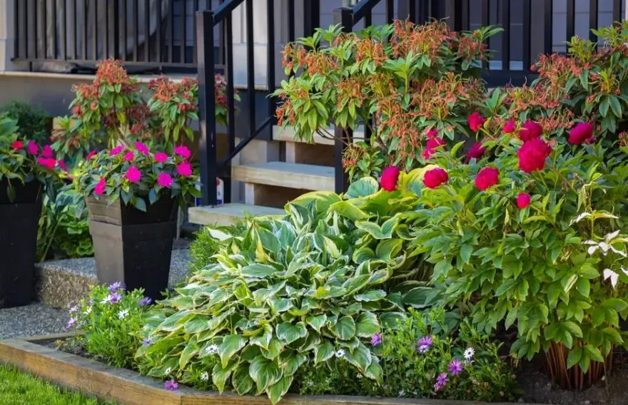 How to Do Front Yard Landscaping